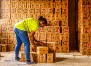 Goodlife Movers Logistics Asset – african-worker-warehouse - Goodlife Movers Kenya