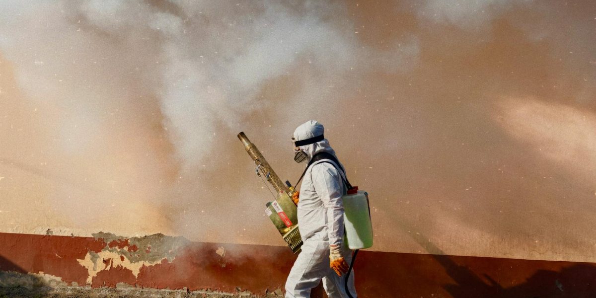 Best Pest Control Services in Nairobi Kenya – Affordable Fumigation & Termite Control