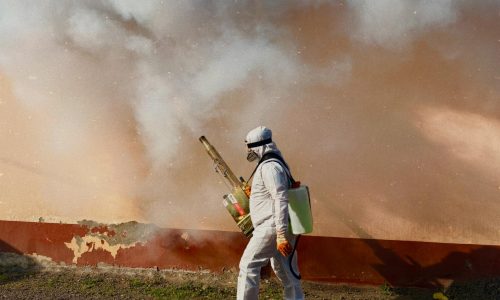 Best Pest Control Services in Nairobi Kenya – Affordable Fumigation & Termite Control