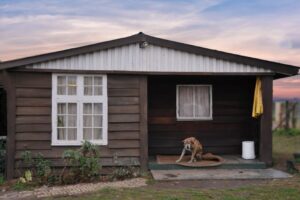 Goodlife Movers Logistics Asset – nairobi-house-exterior - Goodlife Movers Kenya