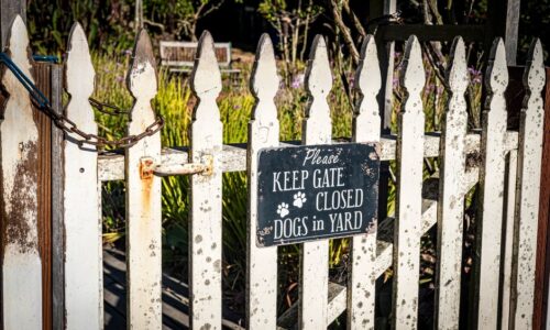 Best Pest Control Services in Nairobi Kenya – Affordable Fumigation & Termite Control