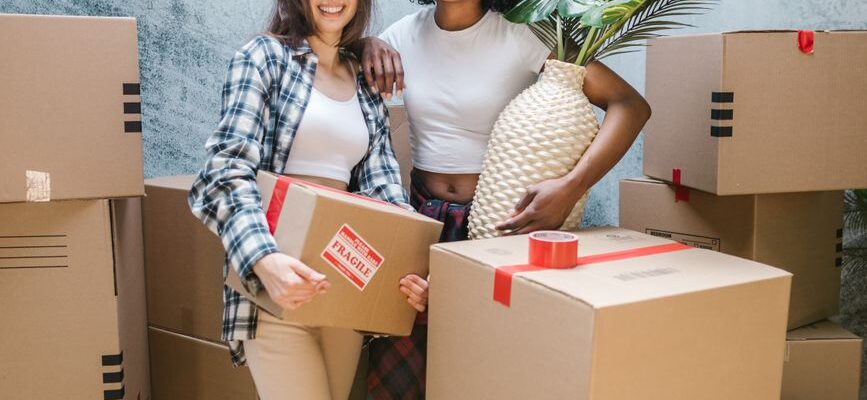 Professional movers carrying boxes during a house or office move in Athi River, Kenya.